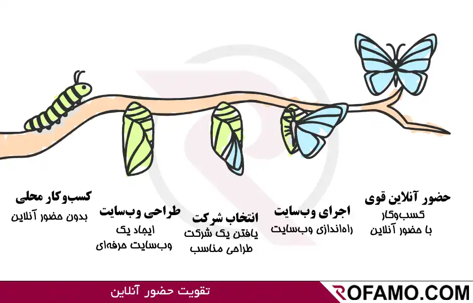 طراحی سایت در ساری